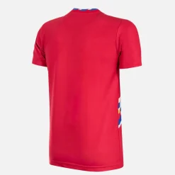 Corée du Sud 1994 Maillot de Foot Rétro