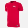 Danemark 1992 European Champions embroidery T-Shirt