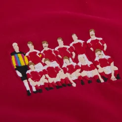 Danemark 1992 European Champions embroidery T-Shirt