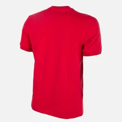 Danemark 1970's Maillot de Foot Rétro