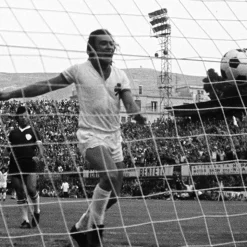 Panathinaikos FC 1974 - 75 Maillot de Foot Rétro