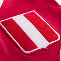 Pérou 1970's Maillot de Foot Rétro