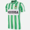 Real Betis 1993 - 94 Maillot de Foot Rétro