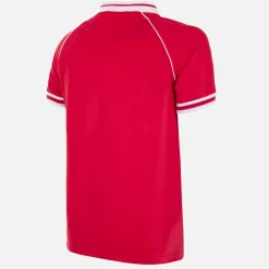 SL Benfica 1994 - 95 Maillot de Foot Rétro