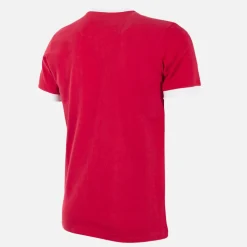 SL Benfica 1974 - 75 Maillot de Foot Rétro